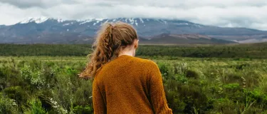 Local Image Brown Jumper Green Field and Mountain