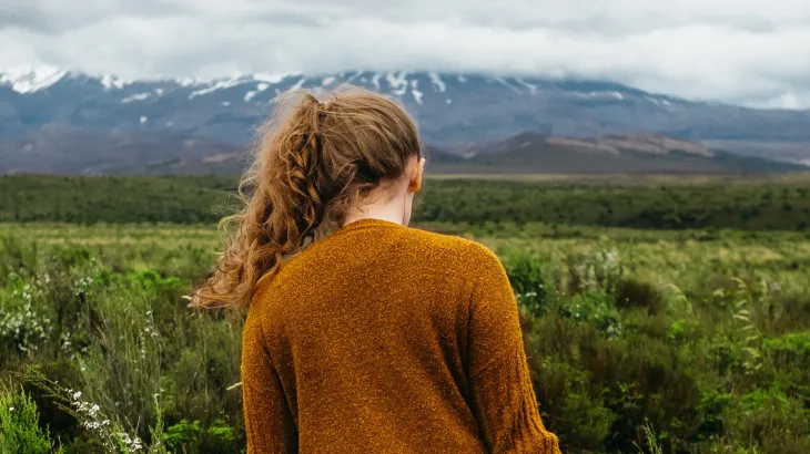 Local Image Brown Jumper Green Field and Mountain